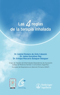 LAS 4 REGLAS DE LA TERAPIA INHALADA