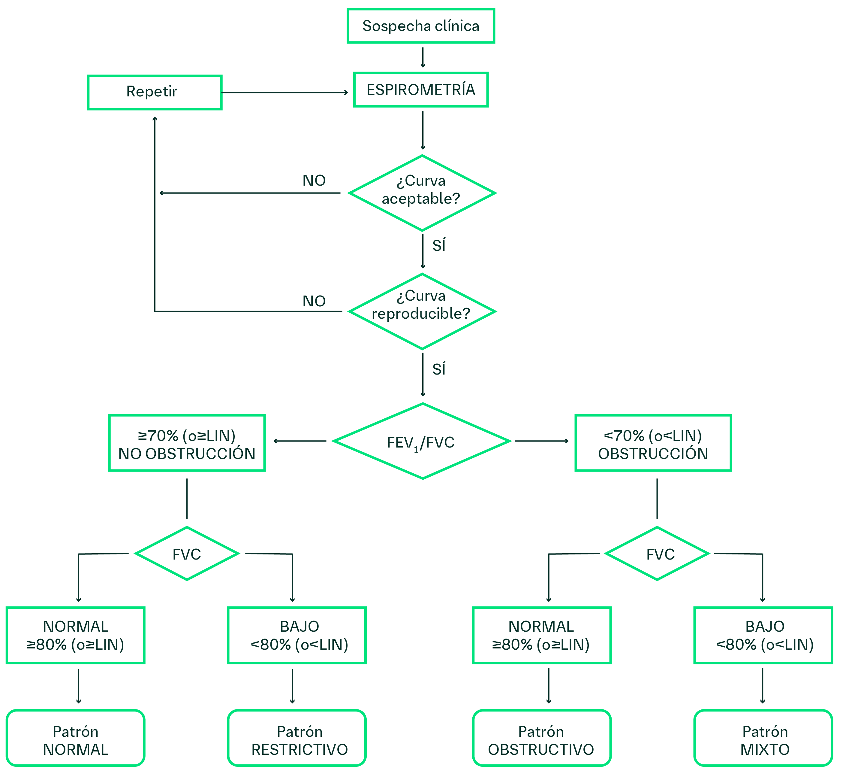 Forma de las curvas