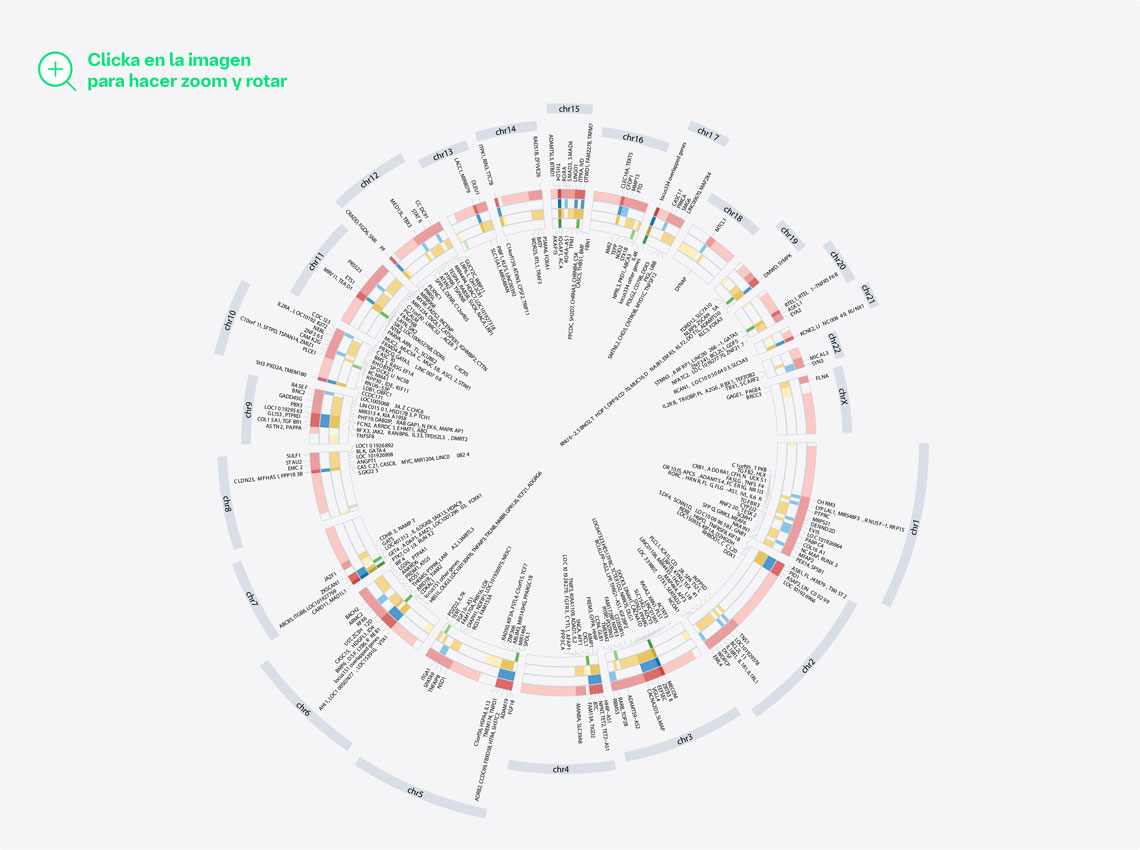 Genes implicados en el desarrollo de EPOC