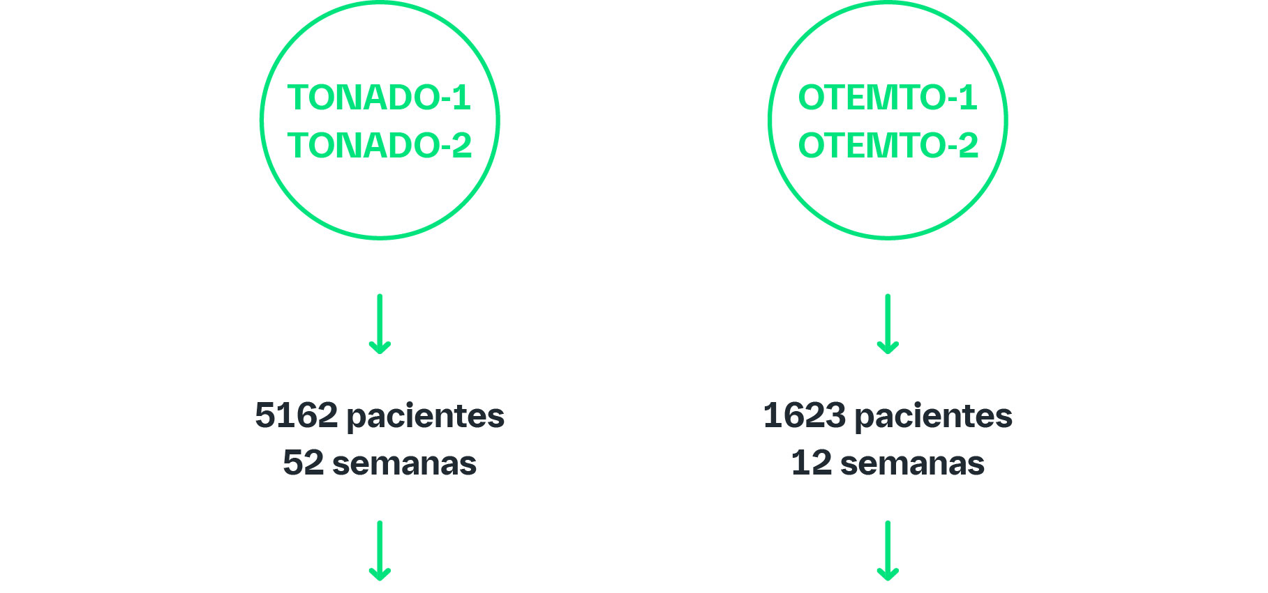 Objetivo principal: cambio en FEV1